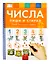 Пиши и стирай. Числа. Пиши и стирай: тетрадь для письма маркером для детей 4-5-6 лет — 3064713 — 1