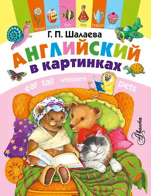 Книга Английский в картинках (Галина Шалаева)