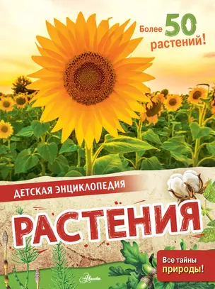 Растения — 2920365 — 1