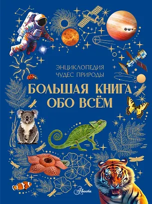 Книга Большая книга обо всём ()