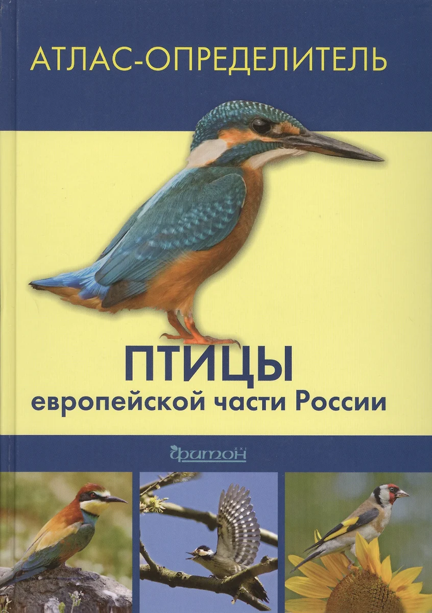 Птицы европейской части России: Атлас определитель (Михаил Калякин) -  купить книгу с доставкой в интернет-магазине «Читай-город». ISBN:  978-5-906811-17-2