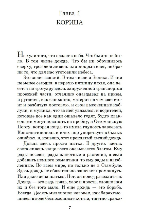 Книга Стамбульский бастард (Элиф Шафак) — 8