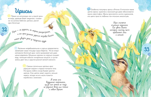 Книга Жизнь пруда (Наталья Габеева) — 12