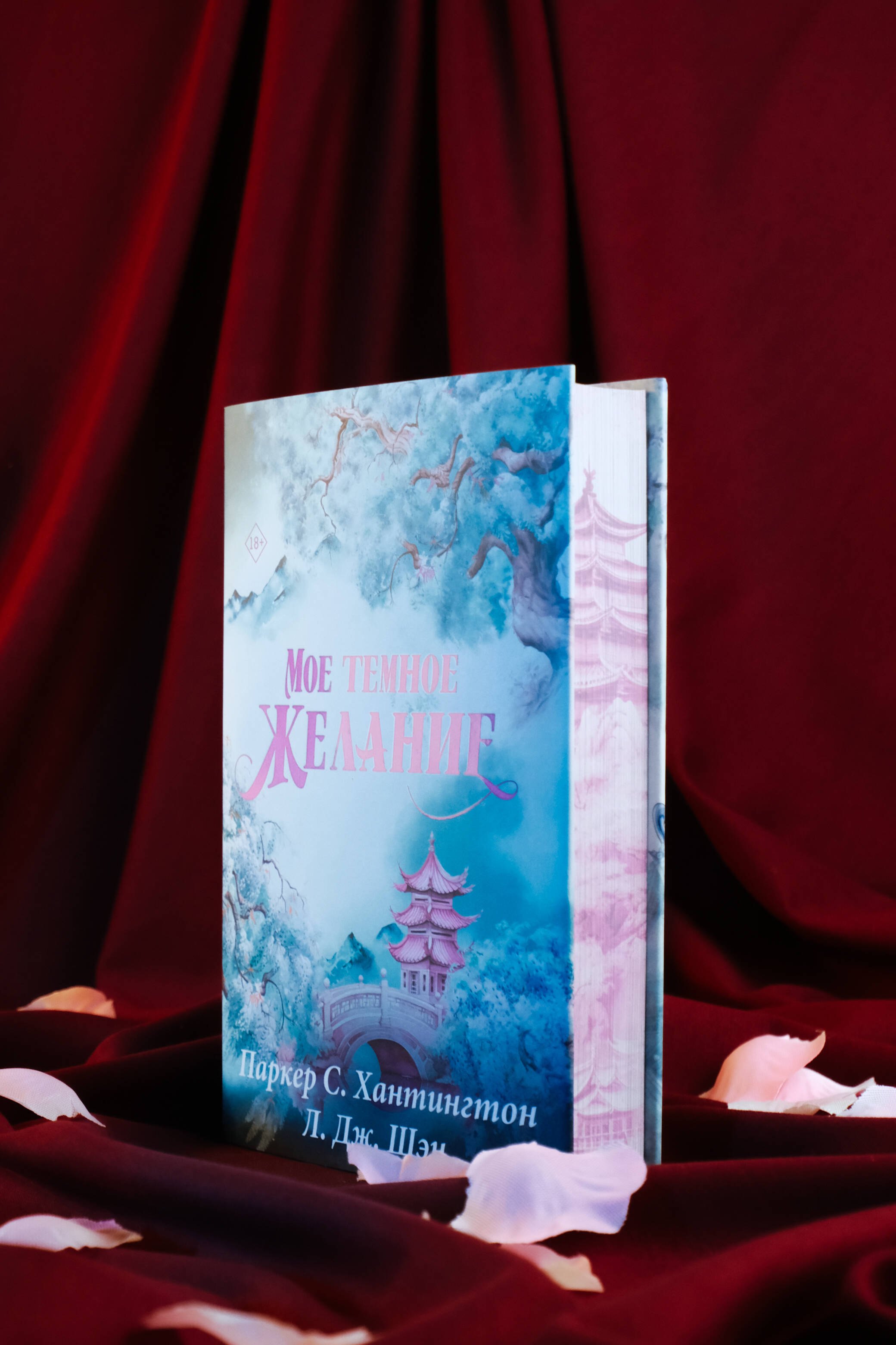 Изображение бумажной книги