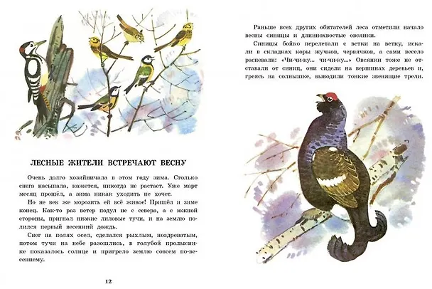 Книга Белочка-хлопотунья (Георгий Скребицкий) — 4