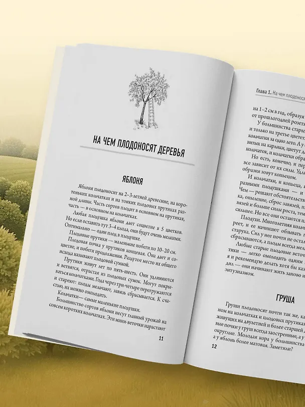 Книга Обрезка и формировка деревьев и кустарников (Николай Курдюмов) — 14