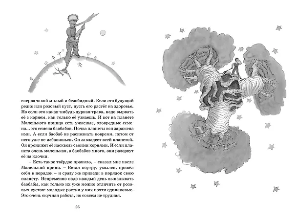 Книга Маленький принц (Антуан де Сент-Экзюпери) — 11