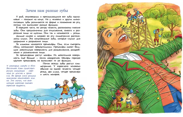 Книга Зубная книжка (Хельга Патаки) — 5
