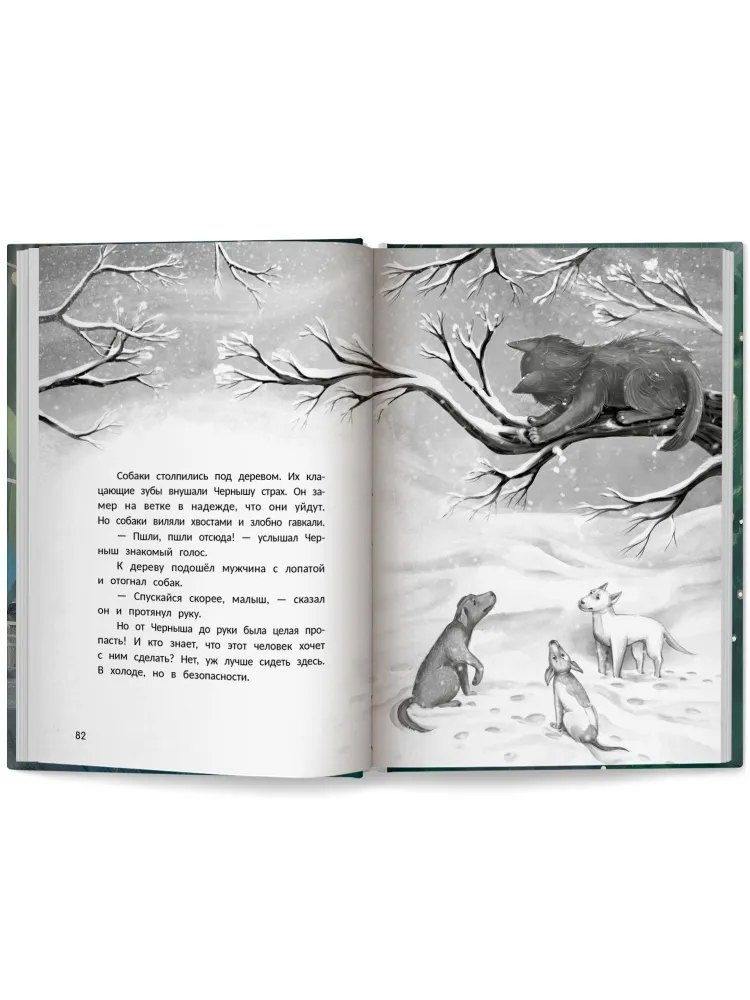 Изображение бумажной книги