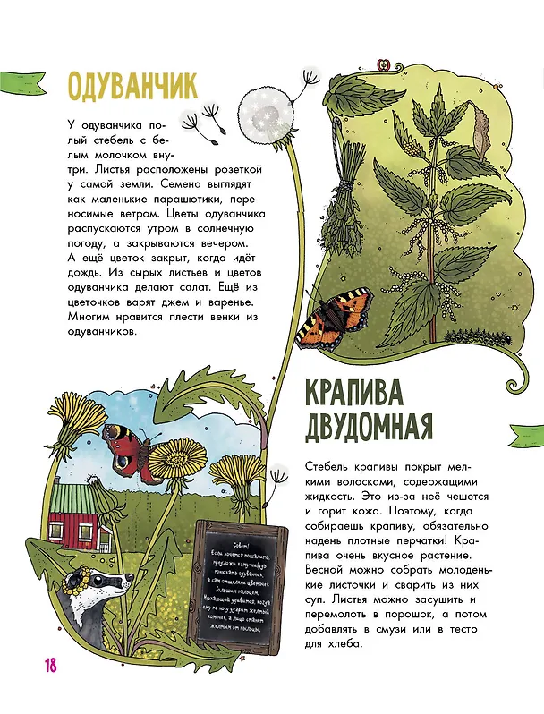 Книга Цветы и растения (Эмма Янссон) — 7