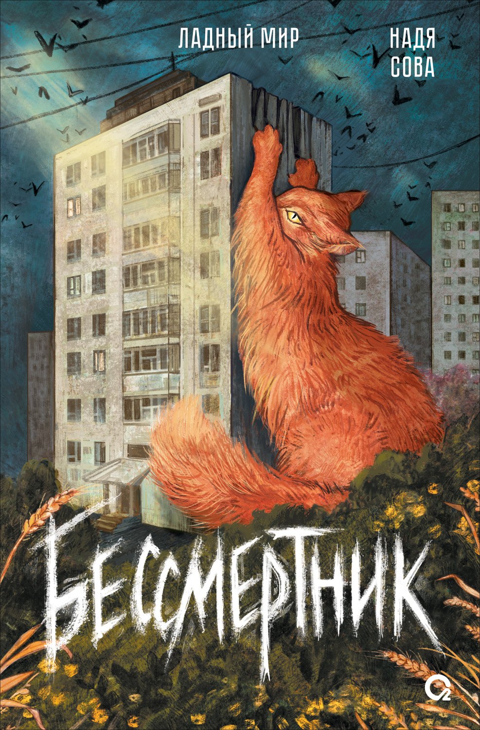 

Бессмертник