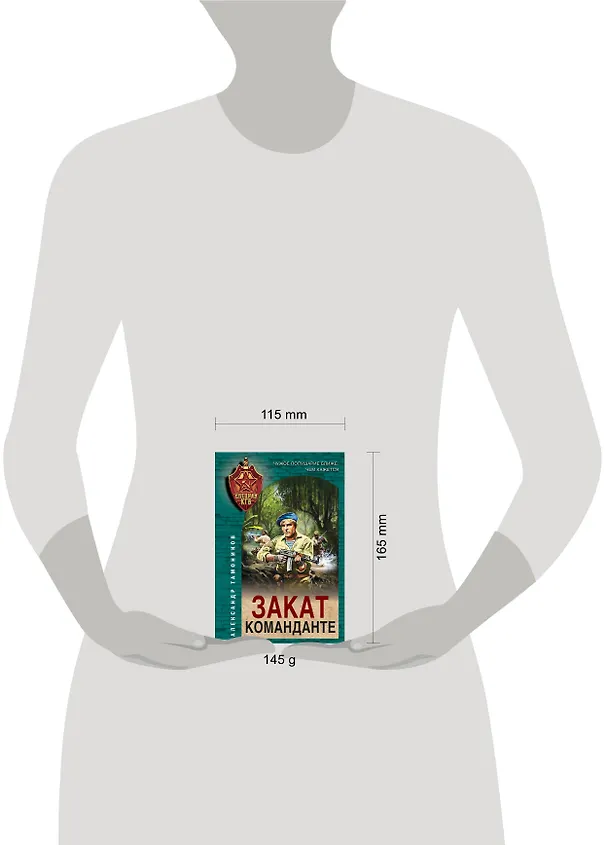 Книга Закат команданте (Александр Тамоников) — 5