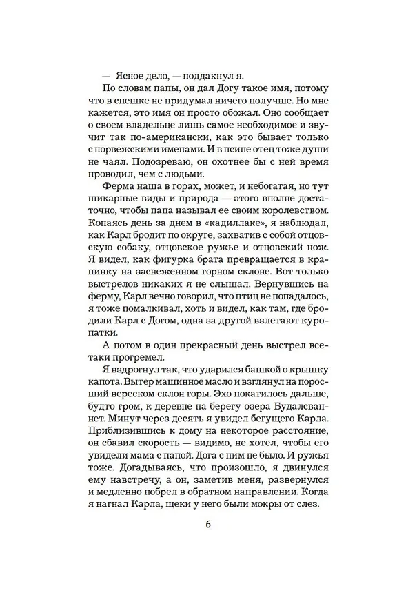 Книга Королевство (Ю Несбё) — 9
