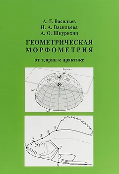 Геометрическая морфометрия: от теории к практике