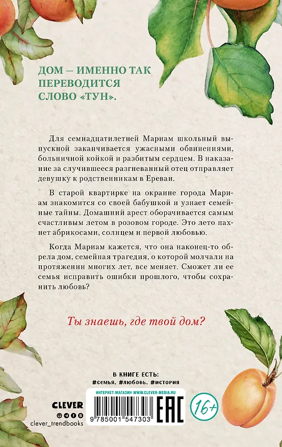 Книга Тун. Лето в розовом городе (Гай Маркос) — 2