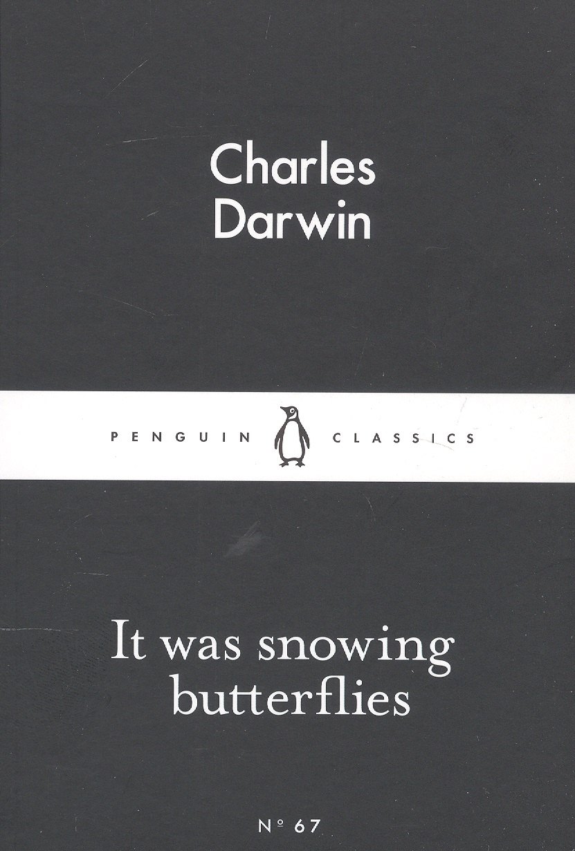 

It Was Snowing Butterflies