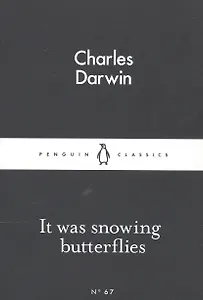 It Was Snowing Butterflies