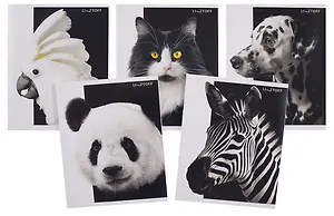 Тетрадь 48л кл. "Черно-белые животные" мел.картон, ассорти