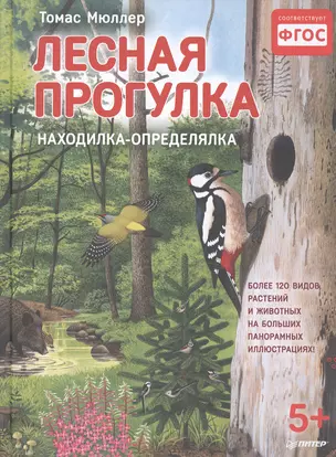 Лесная прогулка. Находилка-определялка с панорамными иллюстрациями. 5+ — 2580798 — 1