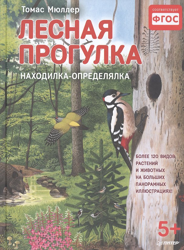 Книга Лесная прогулка. Находилка-определялка с панорамными иллюстрациями. 5+ (Томас Мюллер) — 1