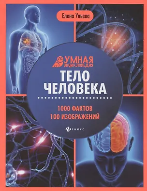 Книга Тело человека: энциклопедия (Елена Ульева)