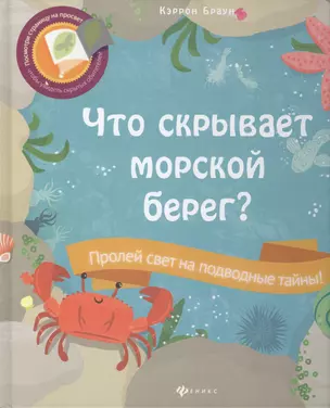 Что скрывает морской берег? — 2441971 — 1