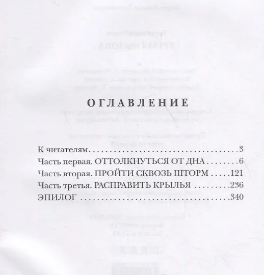 Книга Время вызова. Нужны князья, а не тати (Роман Злотников) — 2