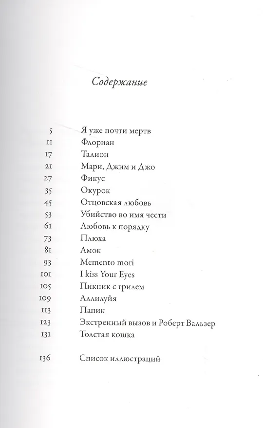 Книга Смертельный случай (Мельхиор Верденберг) — 2