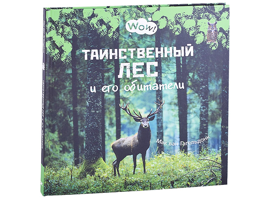 

Таинственный лес и его обитатели