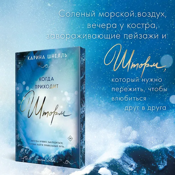 Книга Когда приходит шторм (Карина Шнелль) — 8