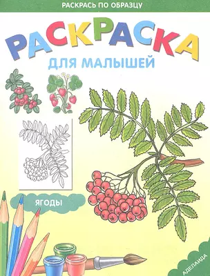 Раскраска для малышей. Ягоды — 2304766 — 1