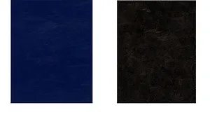 Тетради на кольцах в клетку Unnika, "Синяя (бумвинил)", А5, 160 листов, 2 штуки