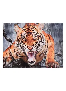 Набор для творчества, Рыжий Кот, Алмазная мозаика Дикий зверь (блест) 30х40 см c подр., с полн. заполн. (30цв.) FS004