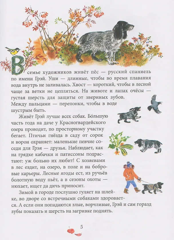 Книга Чаща любит тишину (Евгения Чарушина-Капустина) — 3