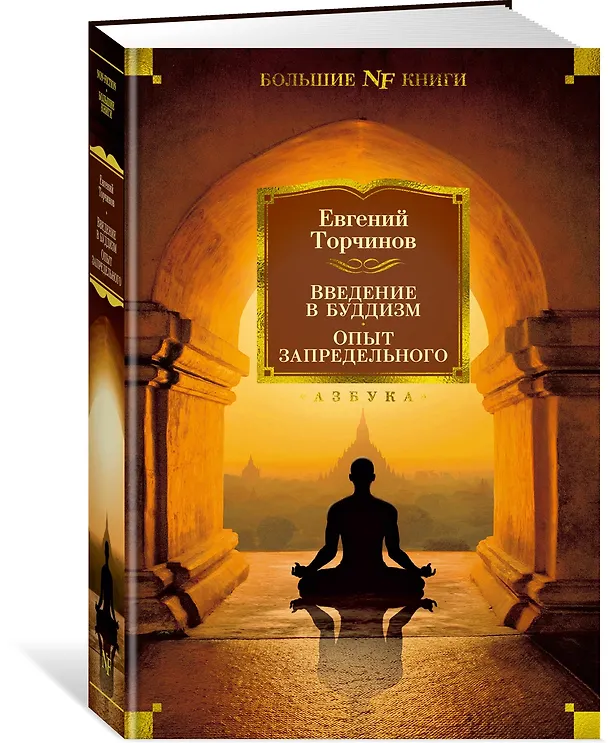 Книга Введение в буддизм. Опыт запредельного (Евгений Торчинов) — 3