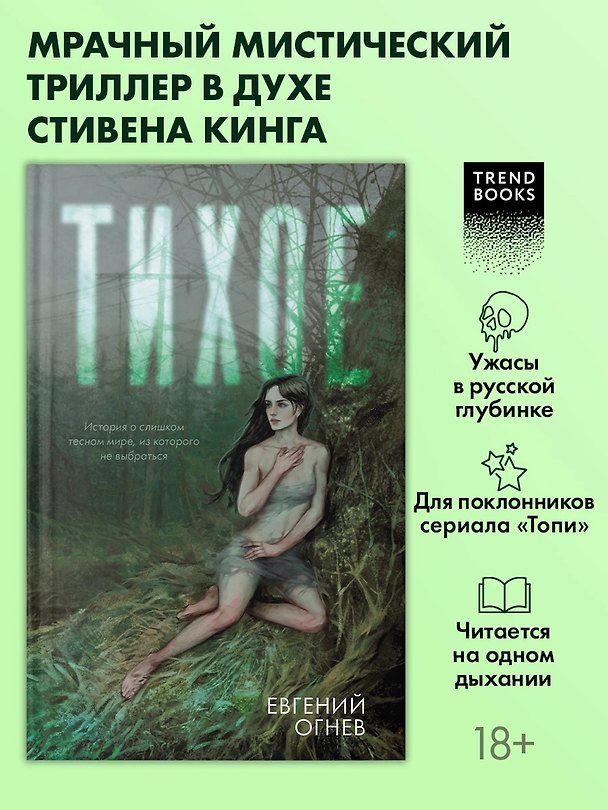Книга Тихое (Евгений Огнев) — 1