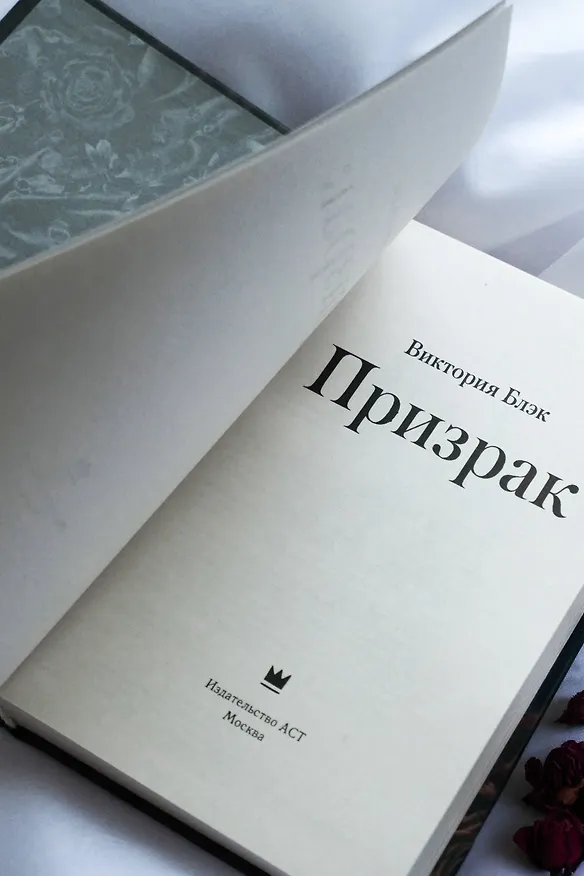Книга Призрак (Виктория Блэк) — 11