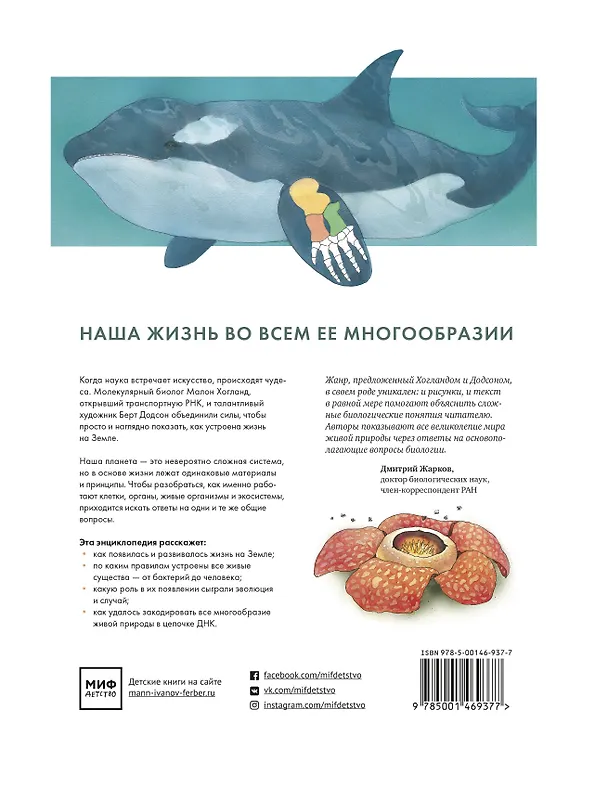 Книга Как устроена жизнь на Земле (Малон Хогланд) — 2