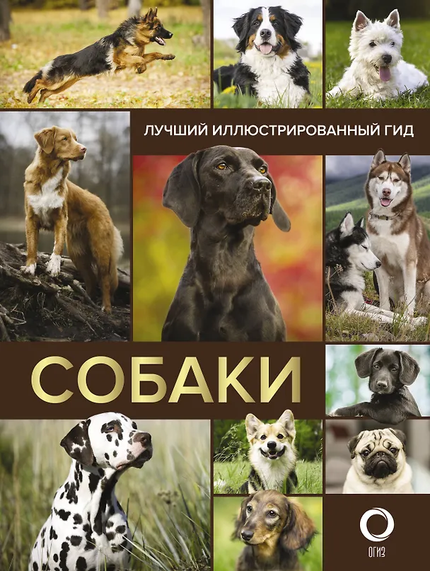 Книга Собаки. Лучший иллюстрированный гид () — 1