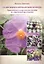 12 месяцев в аптекарском огороде Практическое и теоретическое…(м) Лойтнант — 2632140 — 1