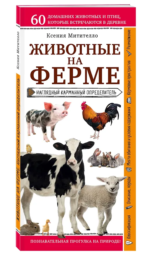Книга Животные на ферме. Наглядный карманный определитель (для ПР) (Ксения Митителло) — 4