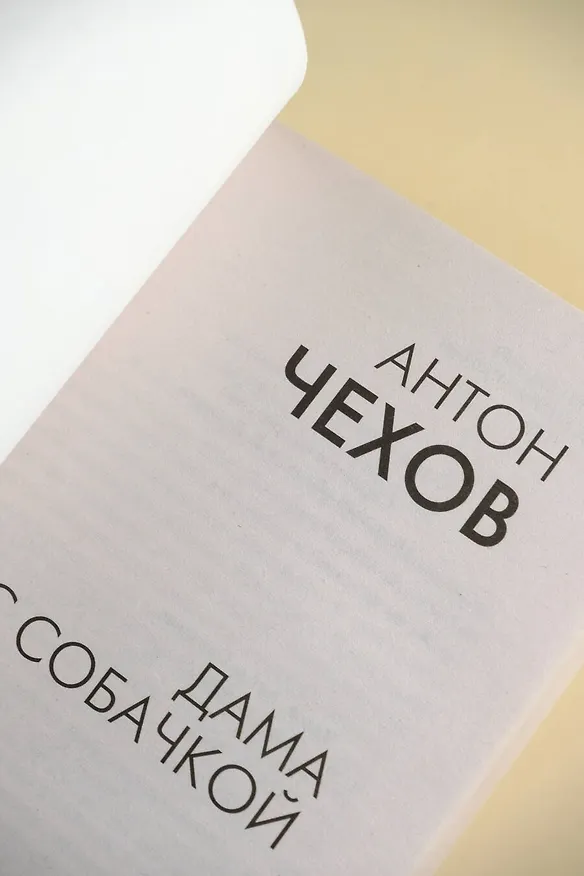 Книга Дама с собачкой (Антон Чехов) — 9