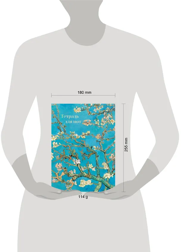 Тетрадь для нот. Ветвь миндаля (24 л., А4, вертикальная, навивка) 3171204 — 4