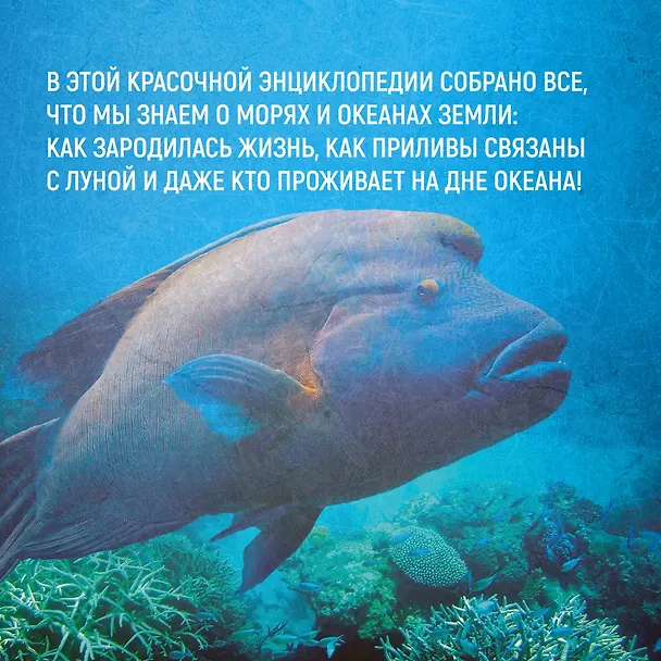 Книга Тайны морей и океанов. Большая иллюстрированная энциклопедия (Франческо Мило) — 9