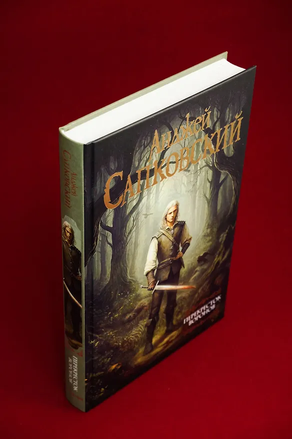 Книга Перекресток Воронов  (Анджей Сапковский) — 11