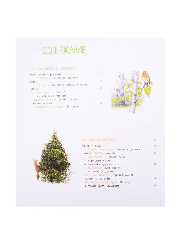 Книга Деревья и кустарники (Натали Торджман) — 2