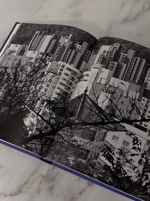 Книга Современное искусство Кореи. Восемь эссе о поисках дома, чужих лицах и живых деревьях (Юрий Пальмин, Алина Стрельцова) — 7
