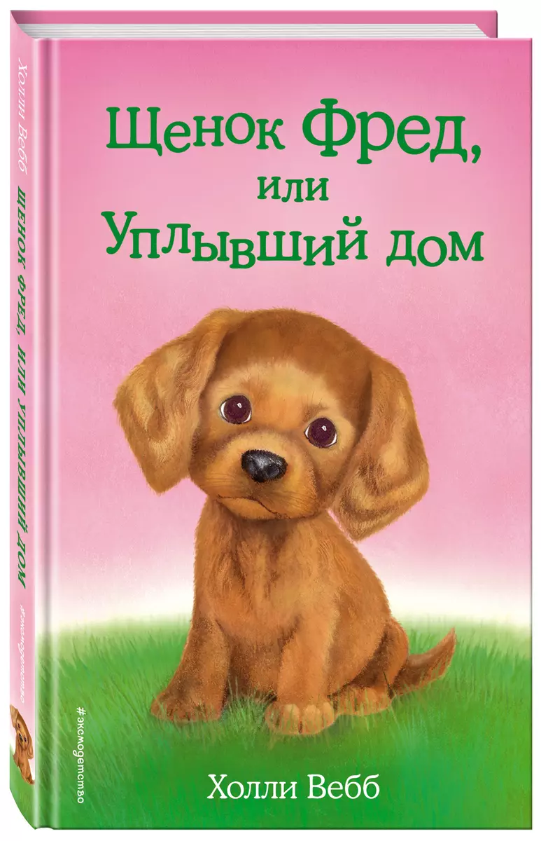 Щенок Фред, или Уплывший дом (Холли Вебб) - купить книгу с доставкой в  интернет-магазине «Читай-город». ISBN: 978-5-699-91586-6