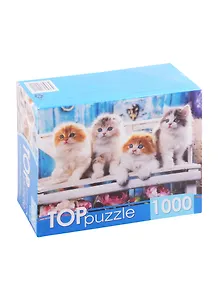 Пазл Котята скоттиш фолд 1000 элементов TOPpuzzle ШТТП1000-4154