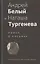 Андрей Белый и Наташа Тургенева: Роман в письмах — 2845868 — 1